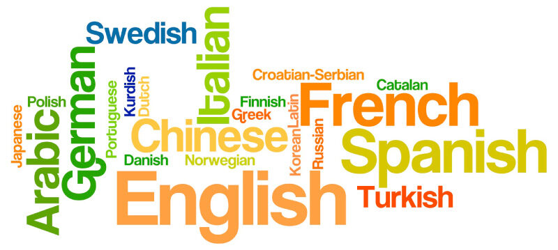 The language barrier and its effect on learning