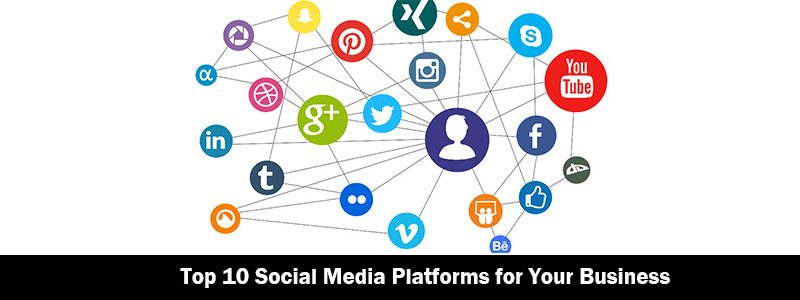 How to use different social media platforms for your business?