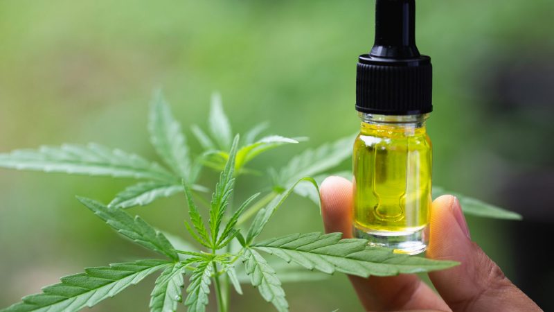 Taking Care Of Your Body With CBD Oil Tincture As You Age