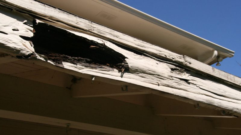 Problems With Doors, Windows And Roofs: What Causes Wood Rot?
