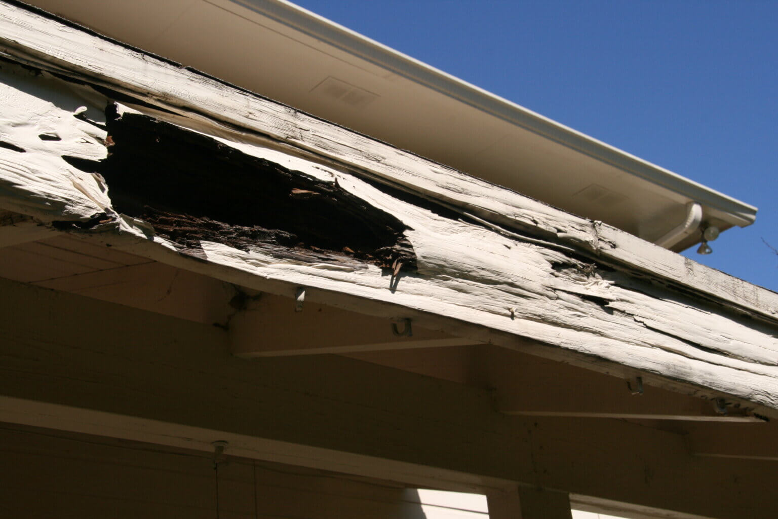 Problems With Doors, Windows And Roofs: What Causes Wood Rot?